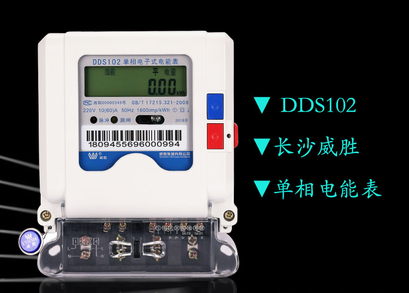 威勝電表DDS102單相電子式電能表該如何使用?—老王說表